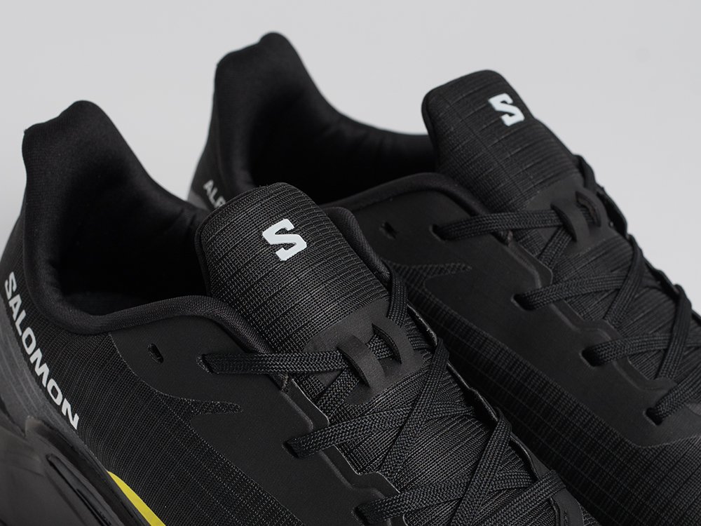 Кроссовки Salomon Alphacross 5 GTX