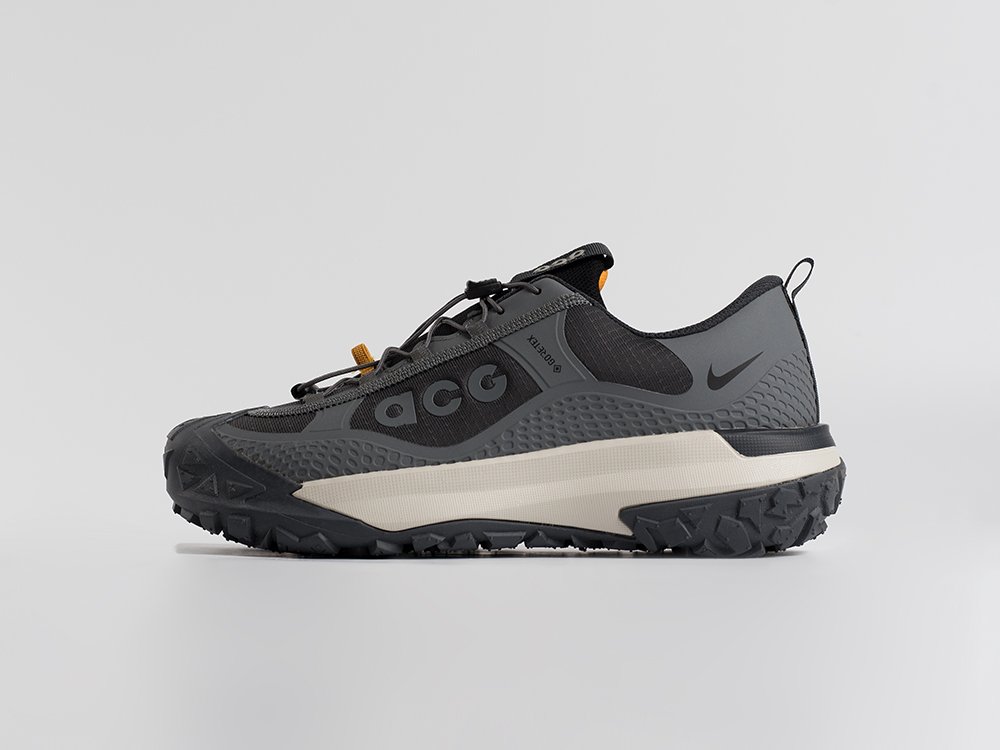 Кроссовки Nike ACG Mountain Fly Low
