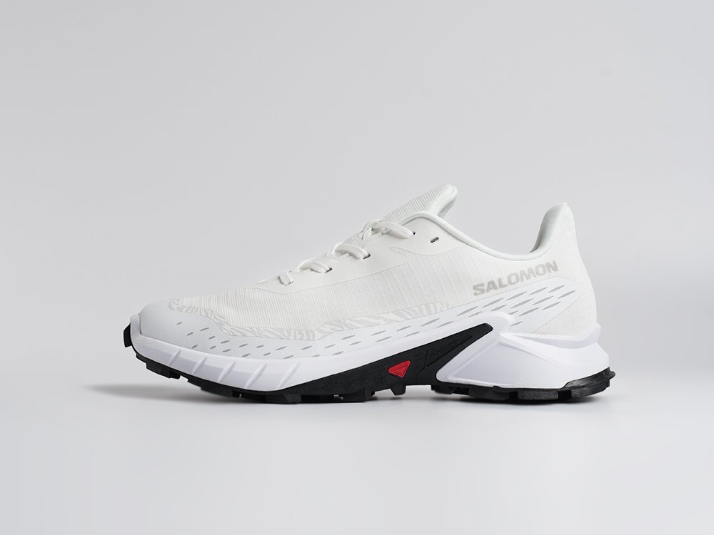 Кроссовки Salomon Alphacross 5 GTX