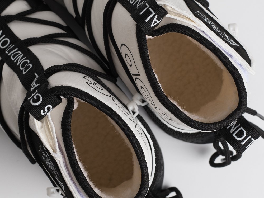 Зимние Кроссовки Nike ACG Air Terra Antarktik