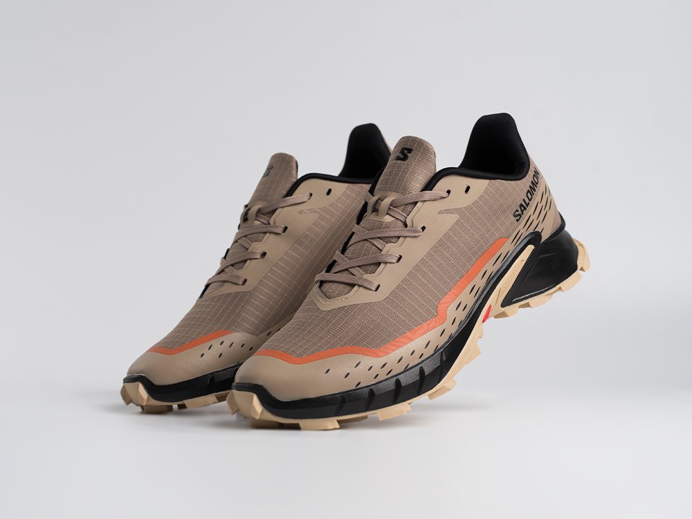 Кроссовки Salomon Alphacross 5 GTX