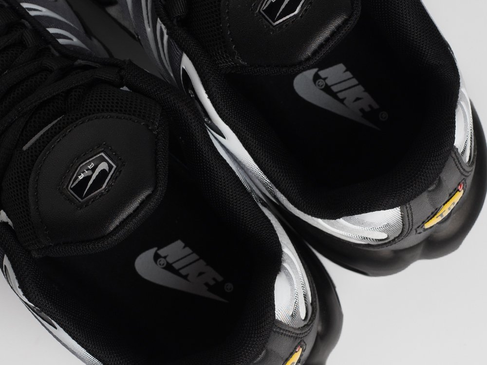 Кроссовки Nike Air Max Plus TN