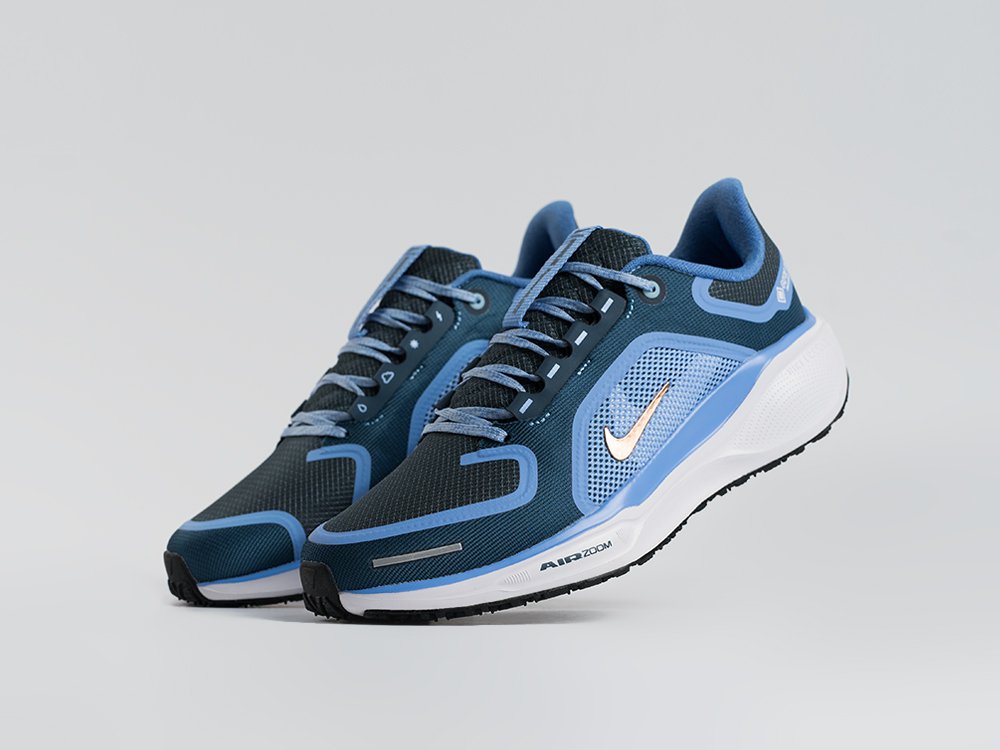 Кроссовки Nike Air Zoom Pegasus 41