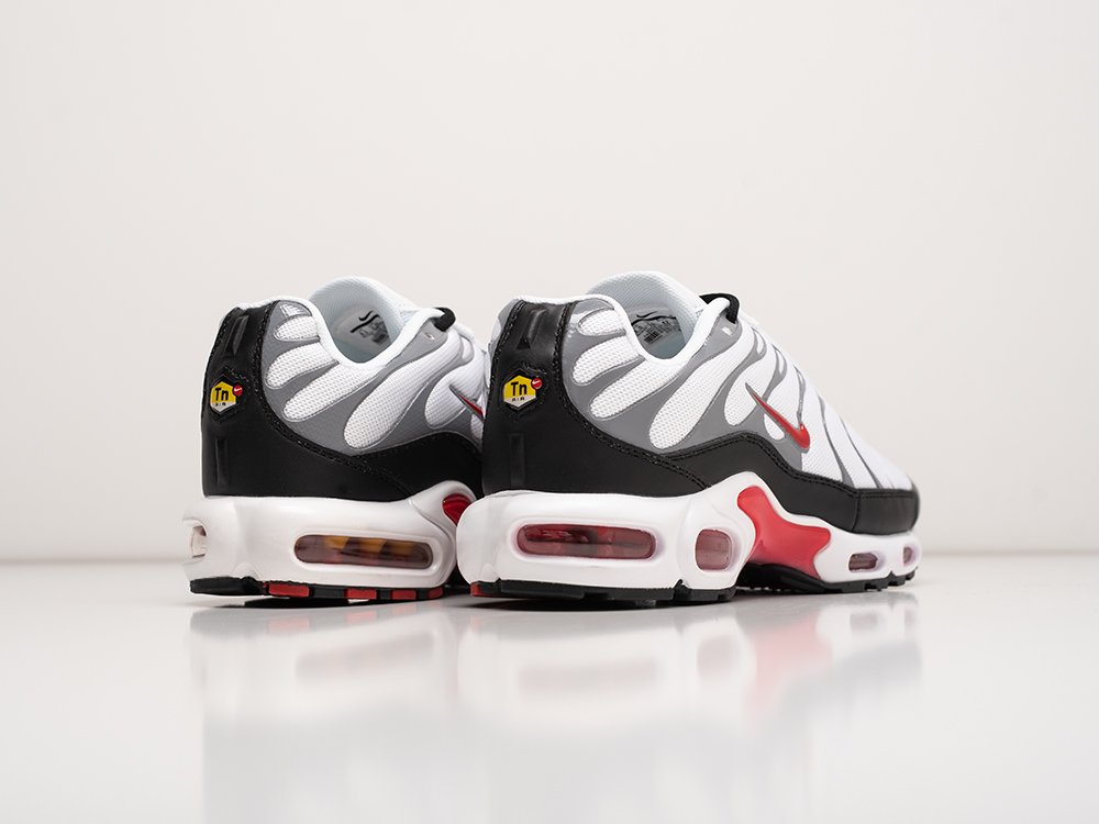 Кроссовки Nike Air Max Plus TN