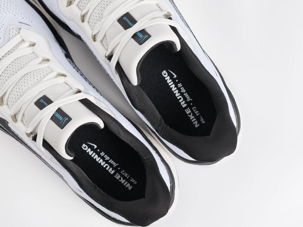 Кроссовки Nike Air Zoom Pegasus 41