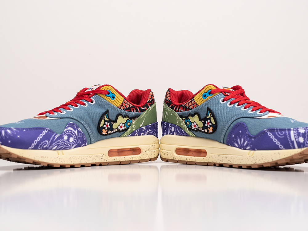 Кроссовки Concepts x Nike Air Max 1