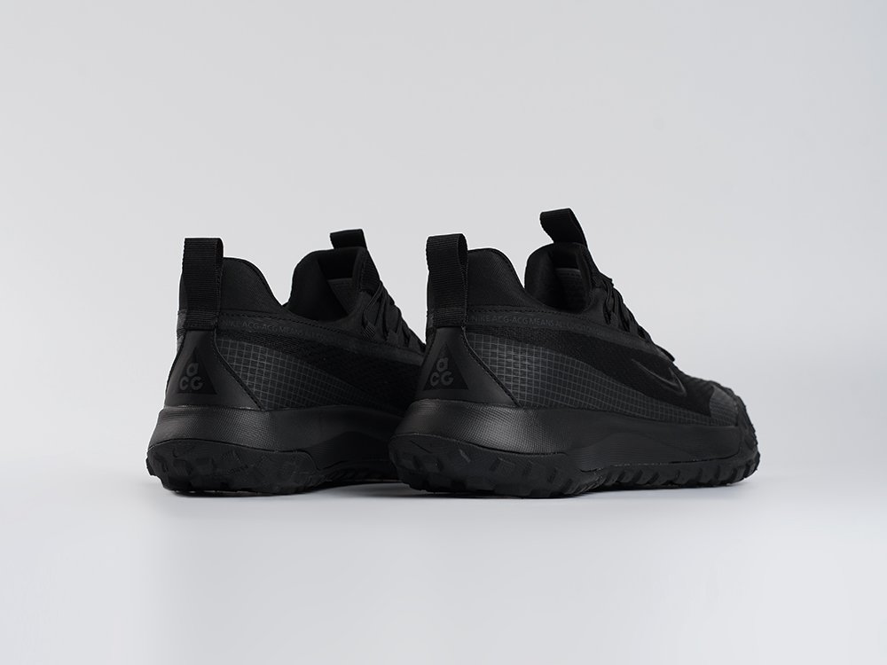 Кроссовки Nike ACG Mountain Fly Low