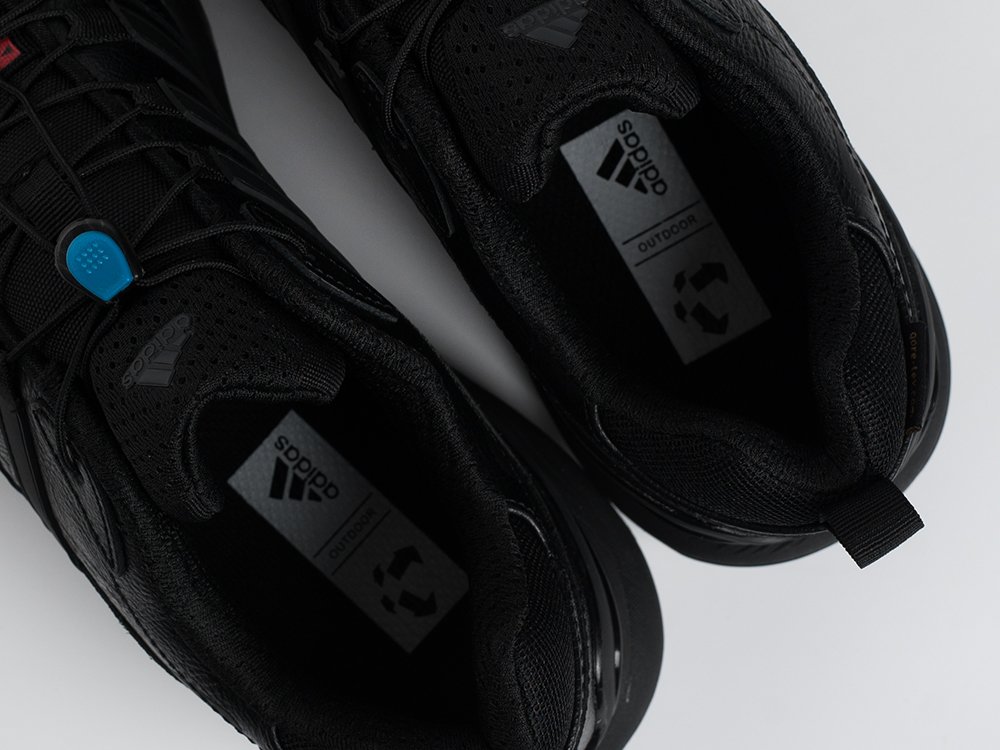 Кроссовки Adidas Terrex Swift R2 GTX