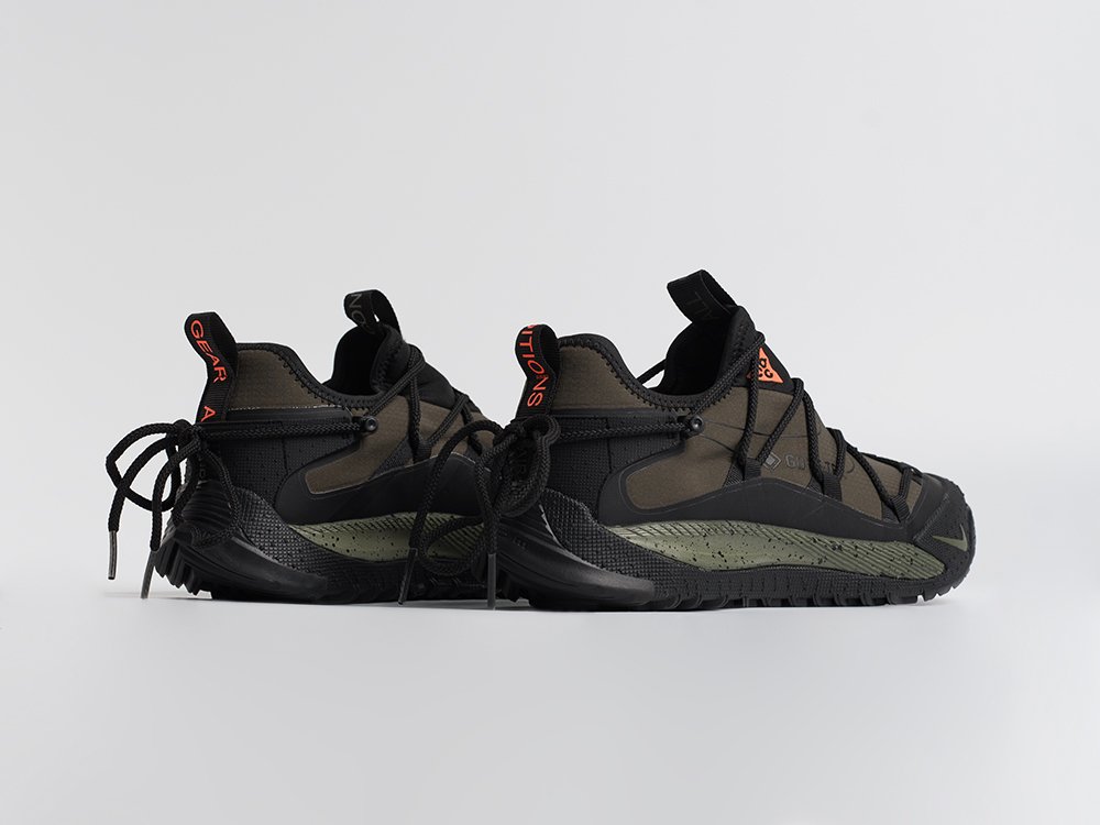 Кроссовки Nike ACG Air Terra Antarktik Low