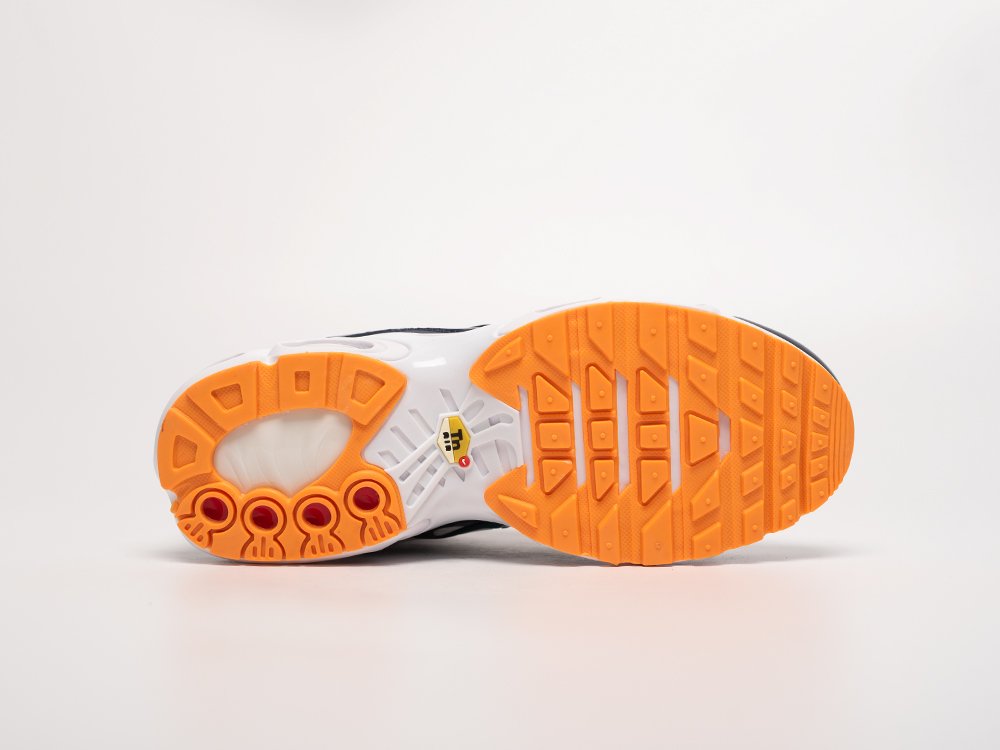 Кроссовки Nike Air Max Plus TN