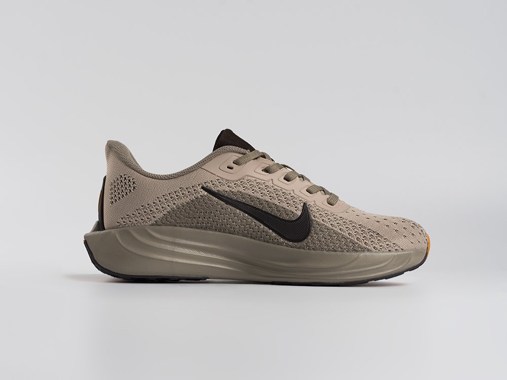 Кроссовки Nike Pegasus Plus