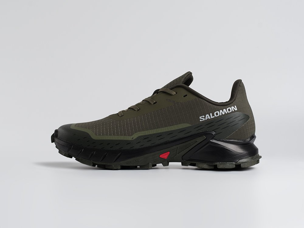 Кроссовки Salomon Alphacross 5 GTX