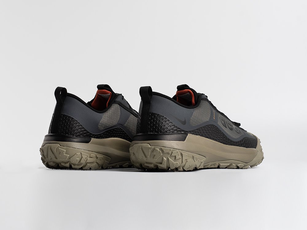 Кроссовки Nike ACG Mountain Fly Low
