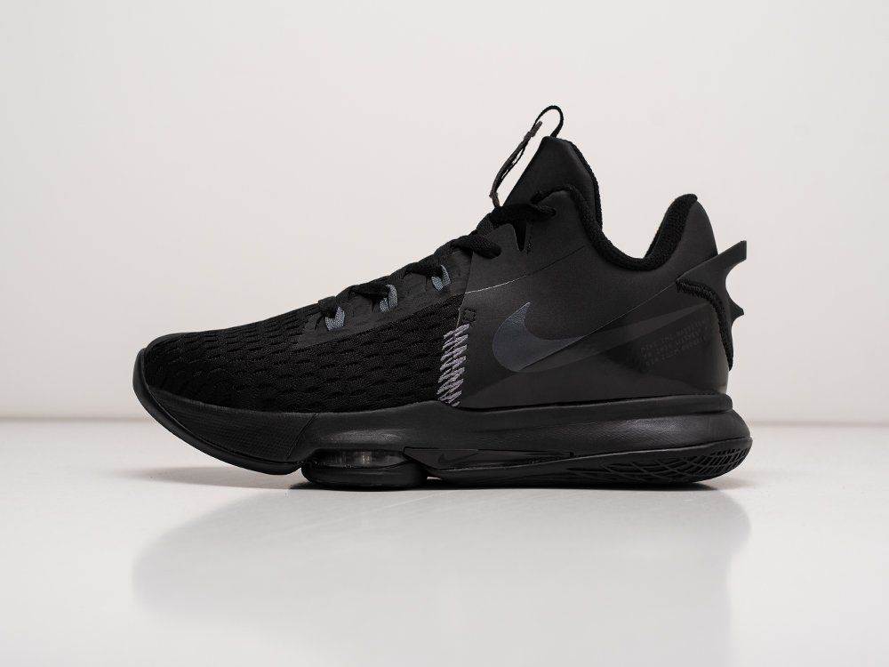 Кроссовки Nike Lebron Witness V