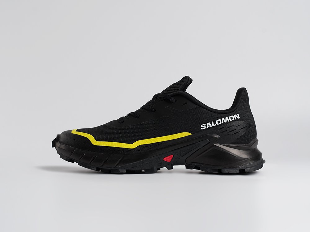 Кроссовки Salomon Alphacross 5 GTX