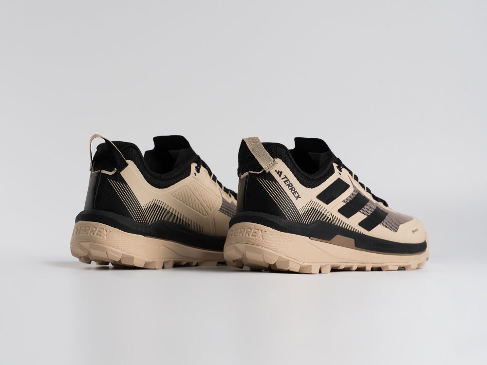 Кроссовки Adidas Terrex Skychaser Tech Low Gtx
