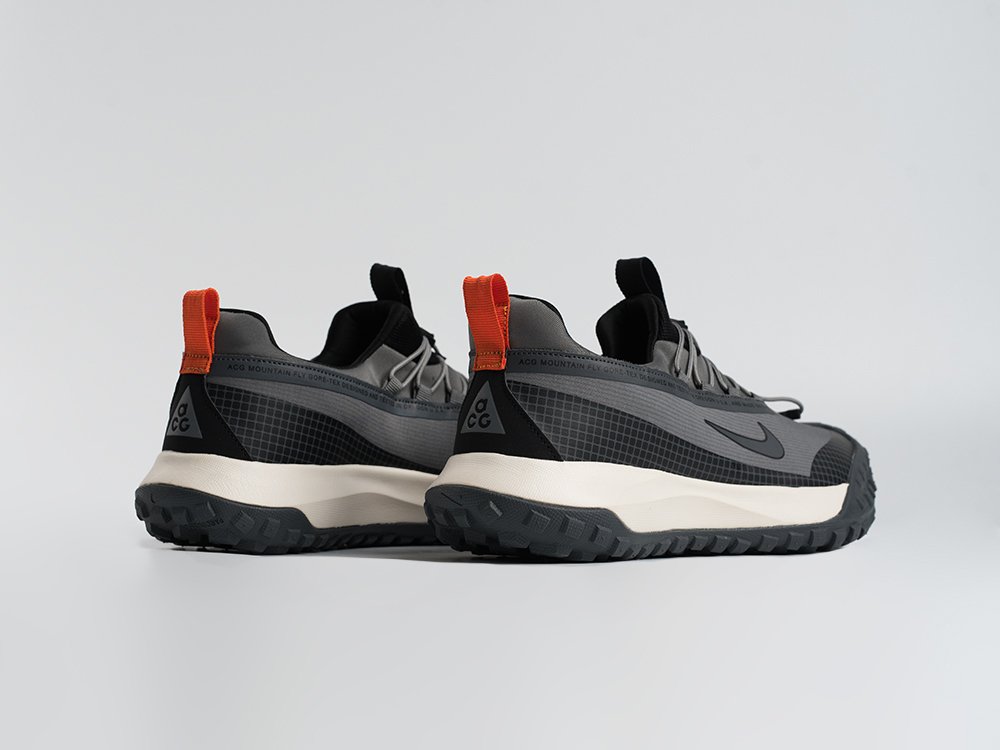 Кроссовки Nike ACG Mountain Fly Low