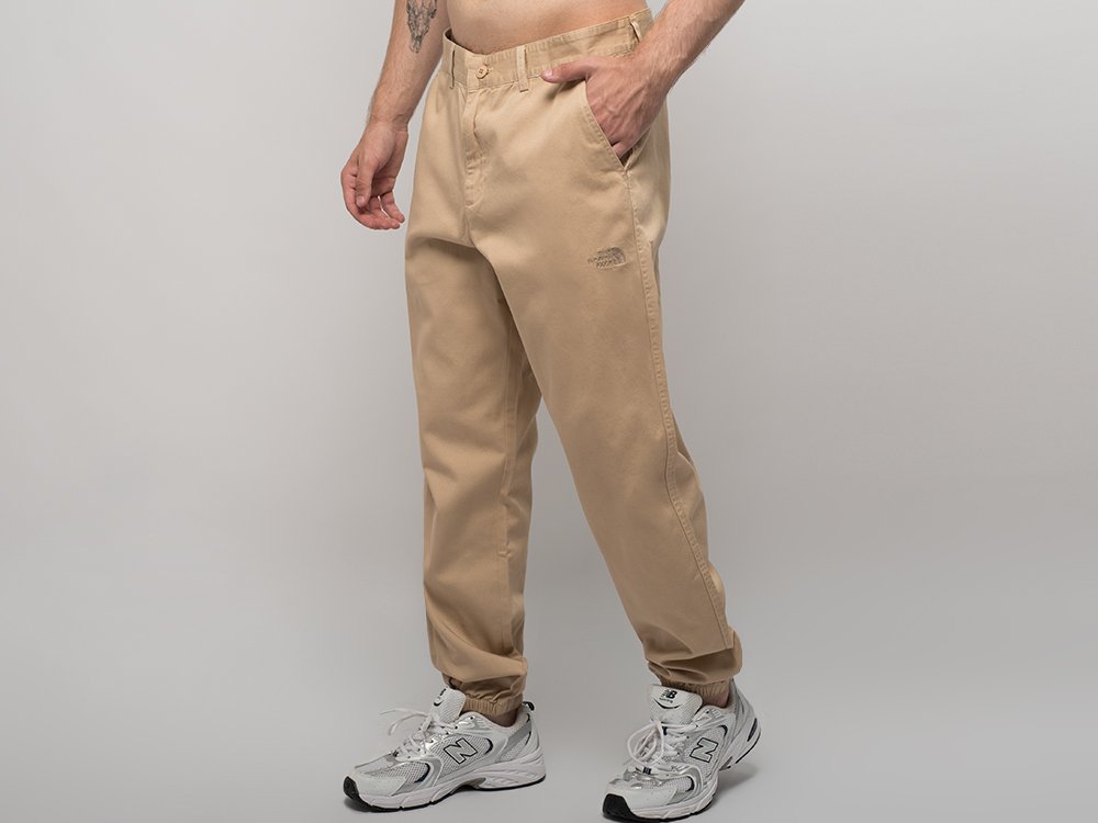 Брюки спортивные The North Face