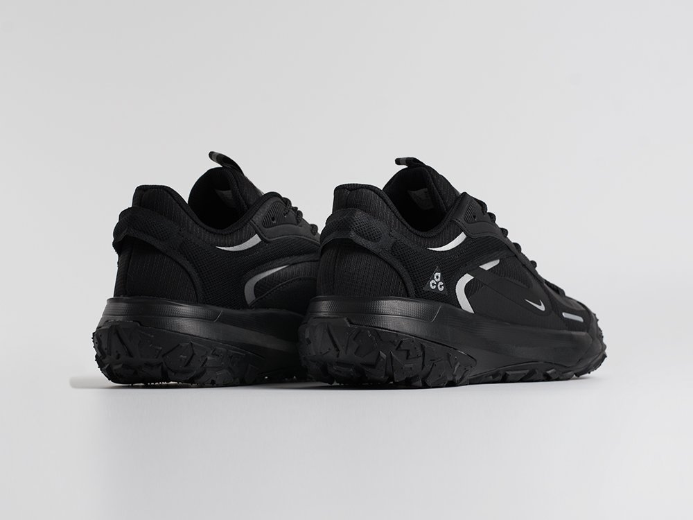 Кроссовки Nike ACG Mountain Fly 2 Low