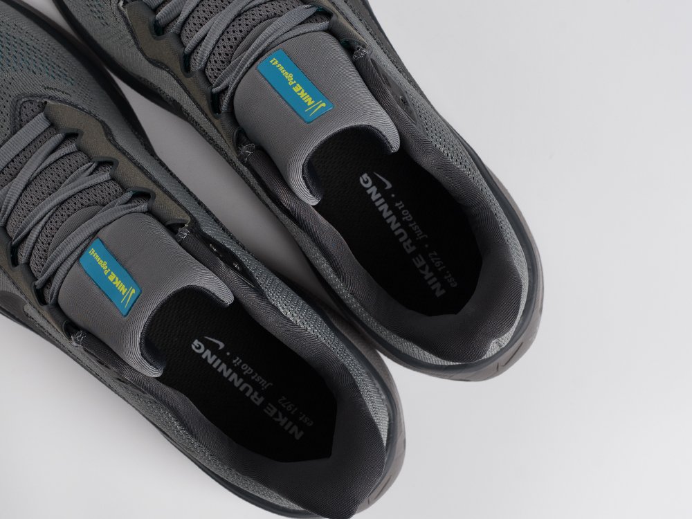 Кроссовки Nike Air Zoom Pegasus 41