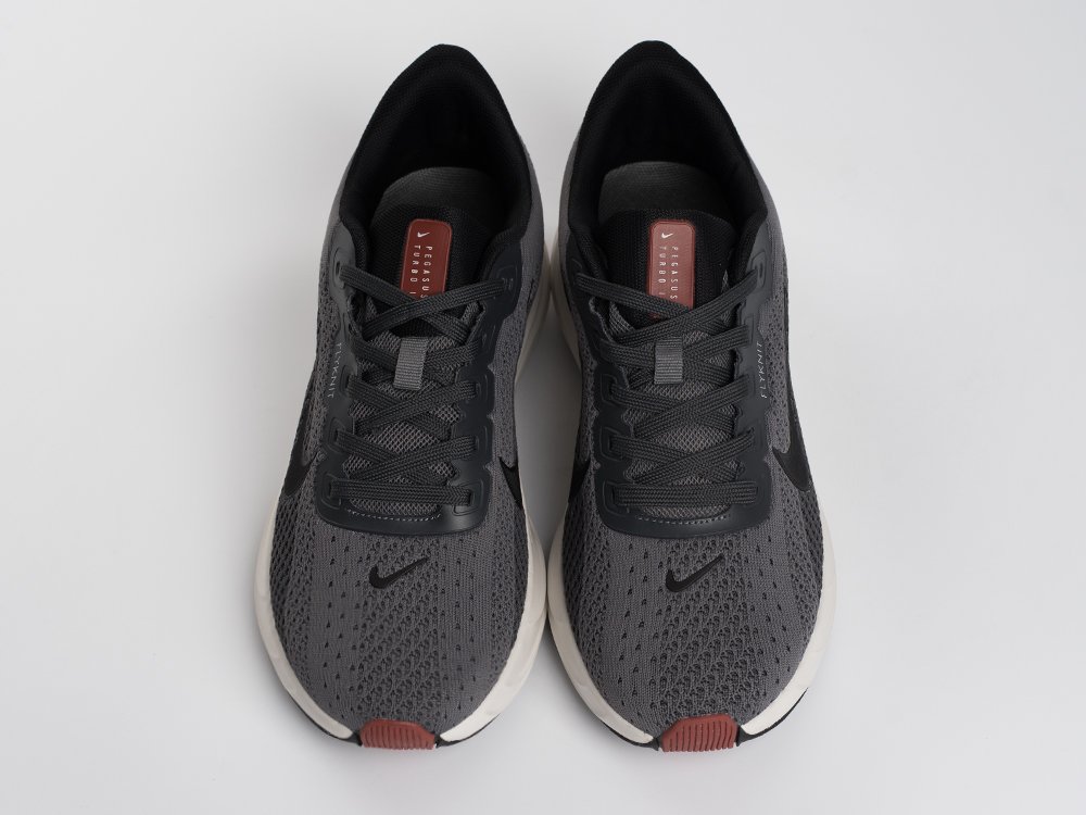 Кроссовки Nike Pegasus Plus