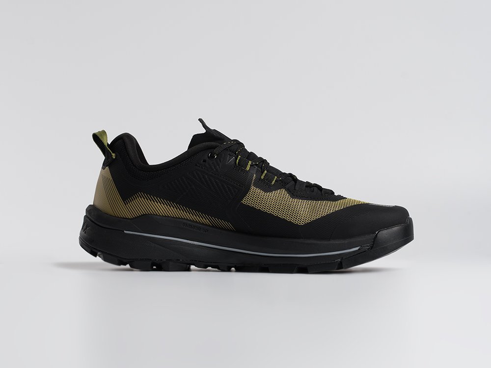 Кроссовки Adidas Terrex Skychaser Tech Low Gtx