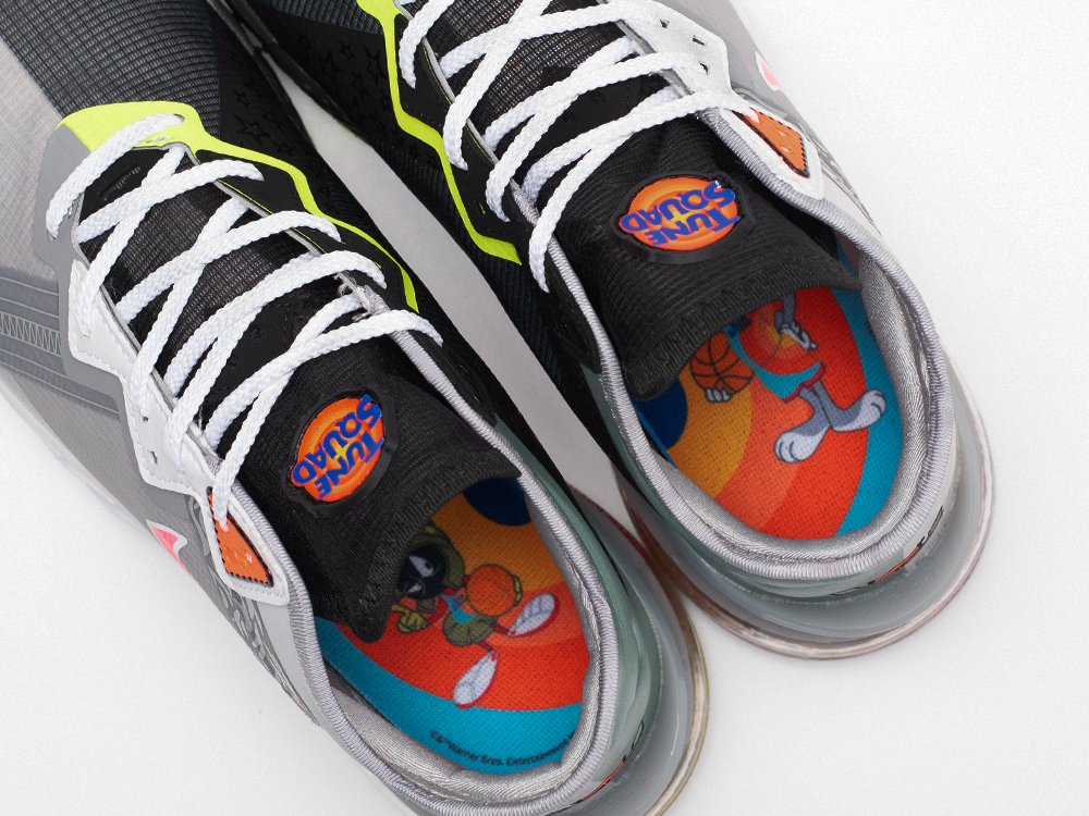 Кроссовки Space Jam x Nike Lebron XVIII