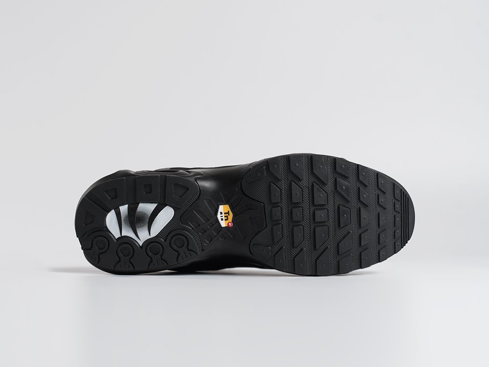 Кроссовки Nike Air Max Plus TN
