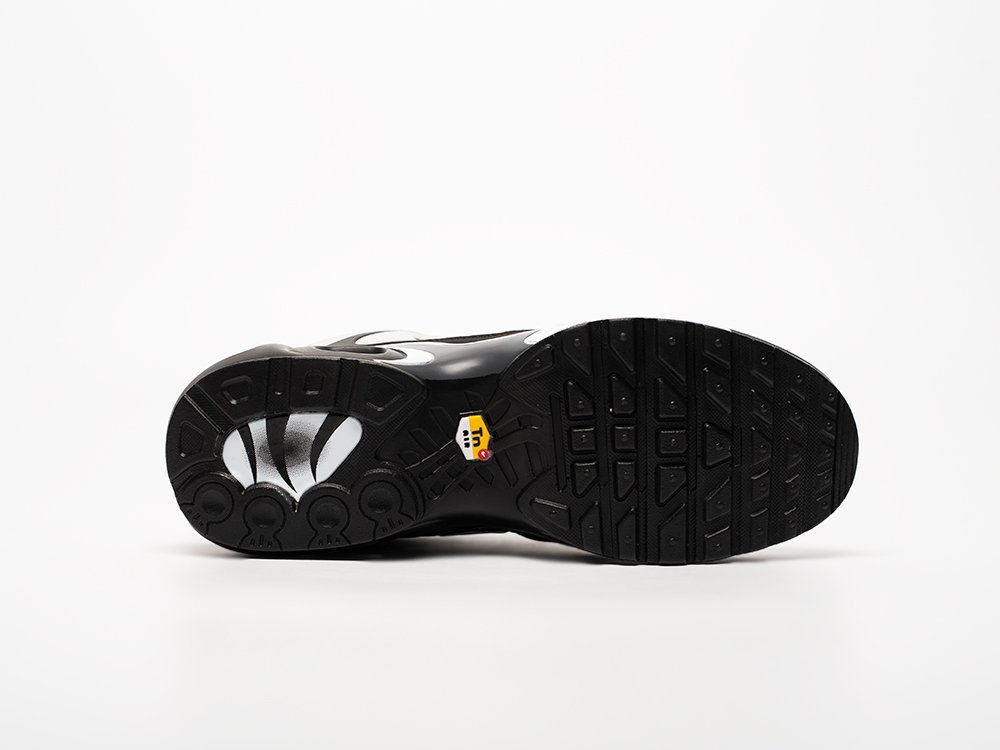 Кроссовки Nike Air Max Plus TN