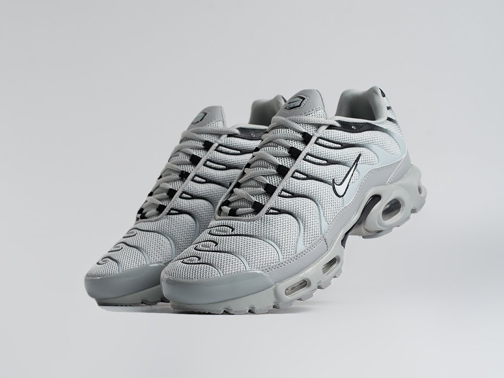 Кроссовки Nike Air Max Plus TN