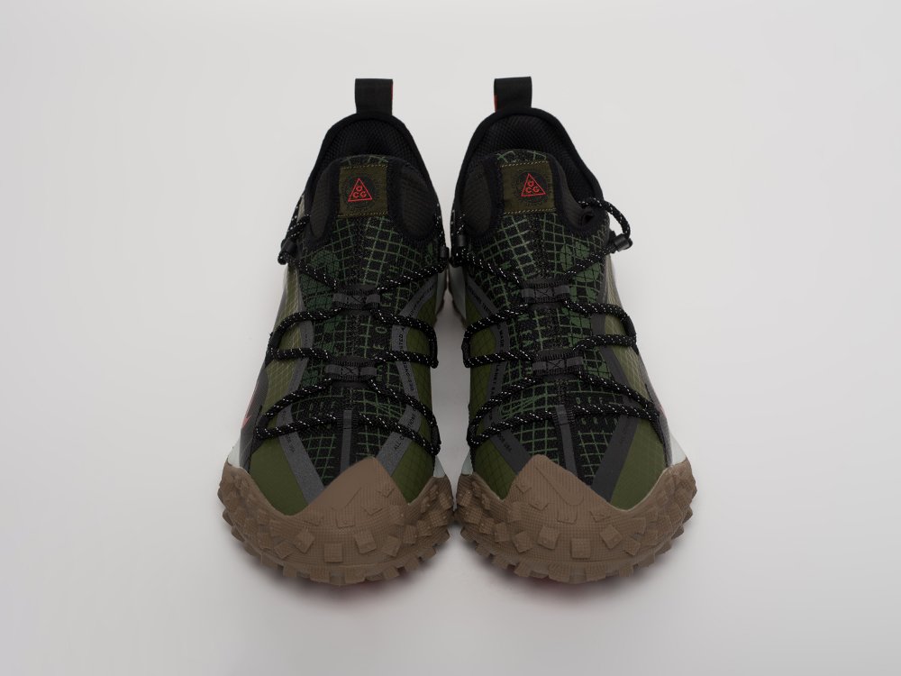 Кроссовки Nike ACG Mountain Fly Low