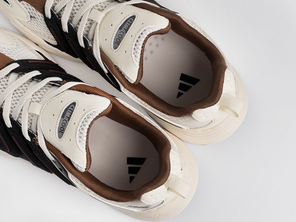 Кроссовки Adidas Climacool Ventania