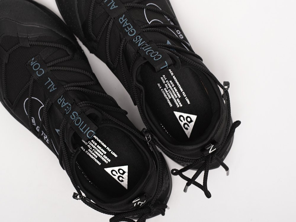 Кроссовки Nike ACG Air Terra Antarktik Low