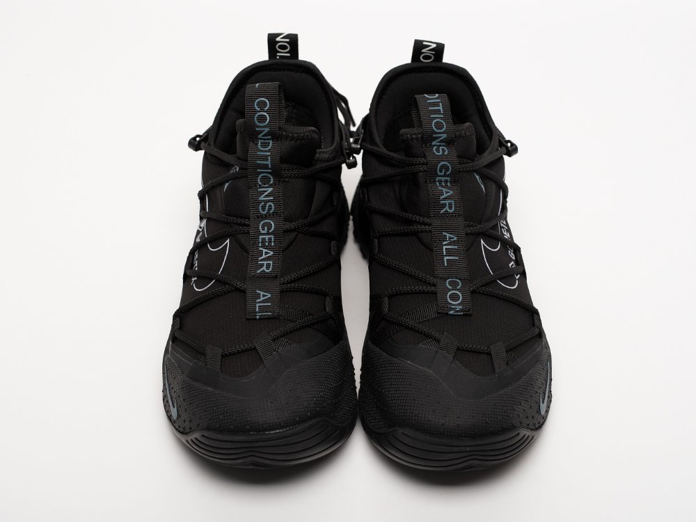 Кроссовки Nike ACG Air Terra Antarktik Low