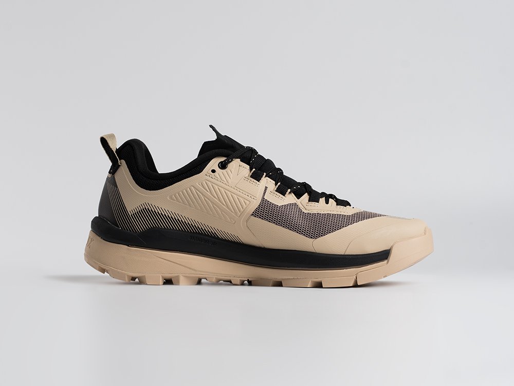 Кроссовки Adidas Terrex Skychaser Tech Low Gtx