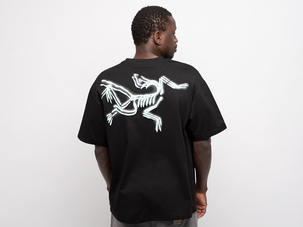 Футболка Arcteryx