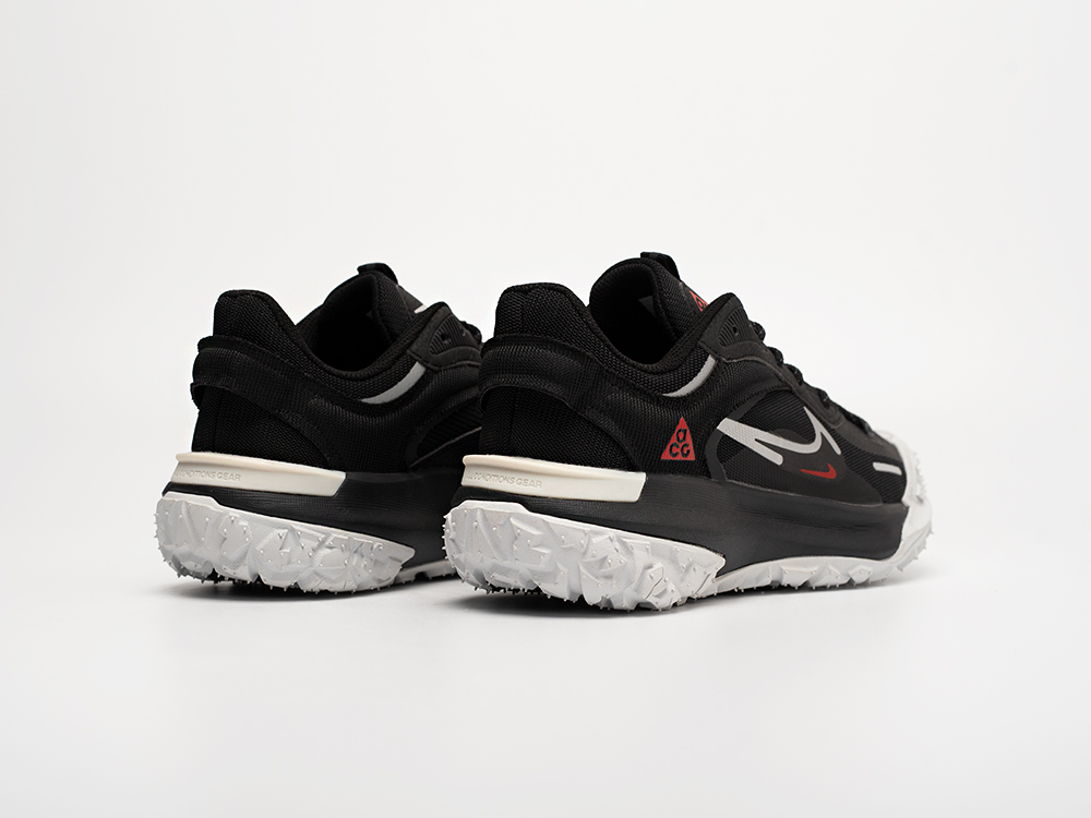 Кроссовки Nike ACG Mountain Fly 2 Low