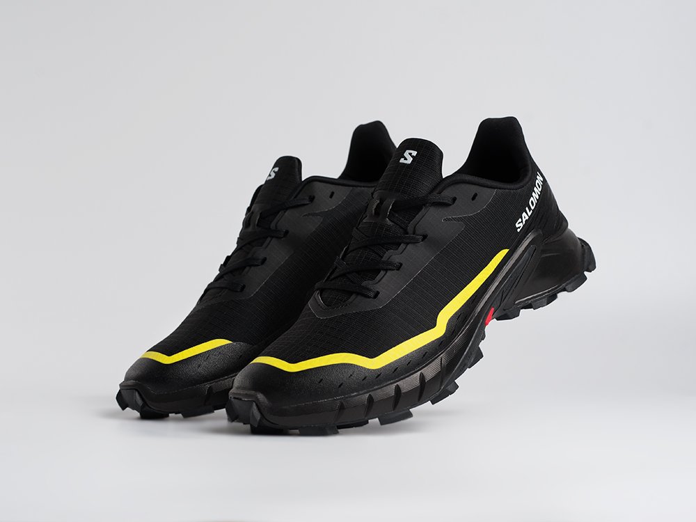 Кроссовки Salomon Alphacross 5 GTX