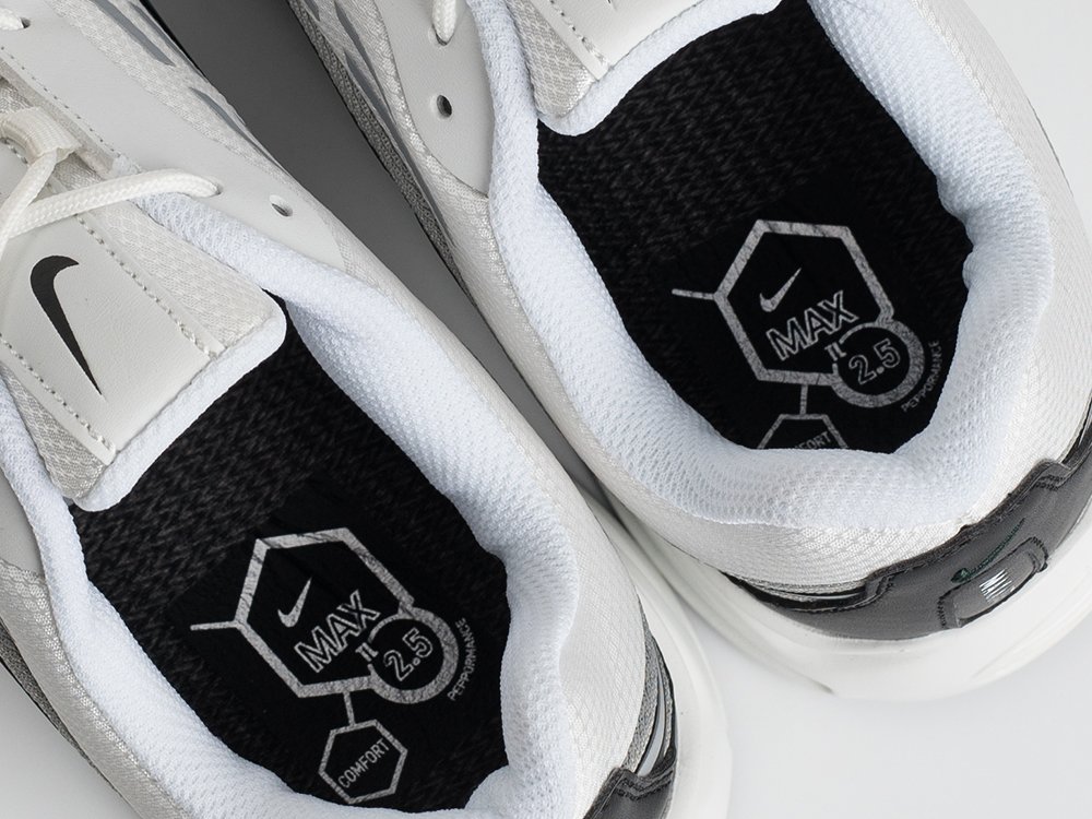 Кроссовки Nike Air Max TL 2.5