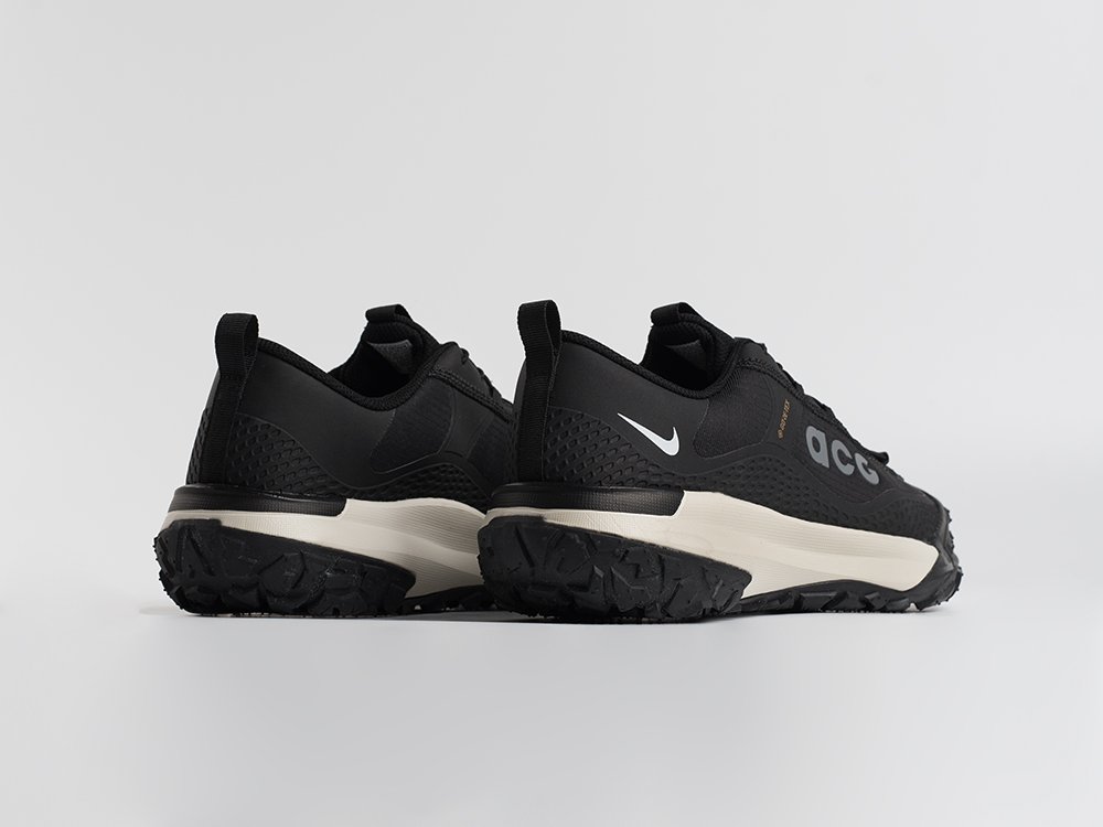 Кроссовки Nike ACG Mountain Fly Low