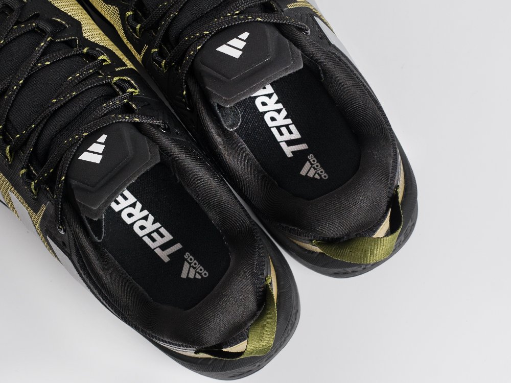 Кроссовки Adidas Terrex Skychaser Tech Low Gtx