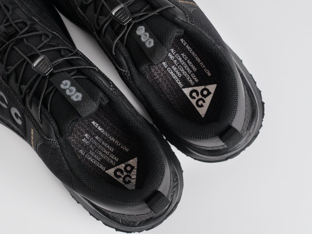 Кроссовки Nike ACG Mountain Fly Low