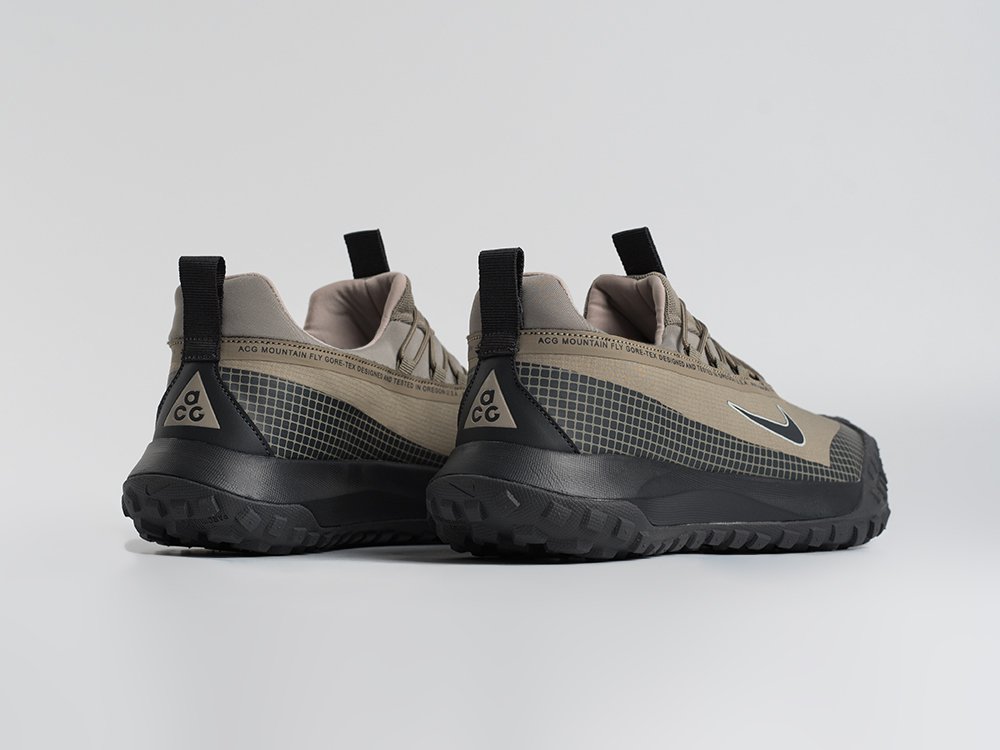 Кроссовки Nike ACG Mountain Fly Low