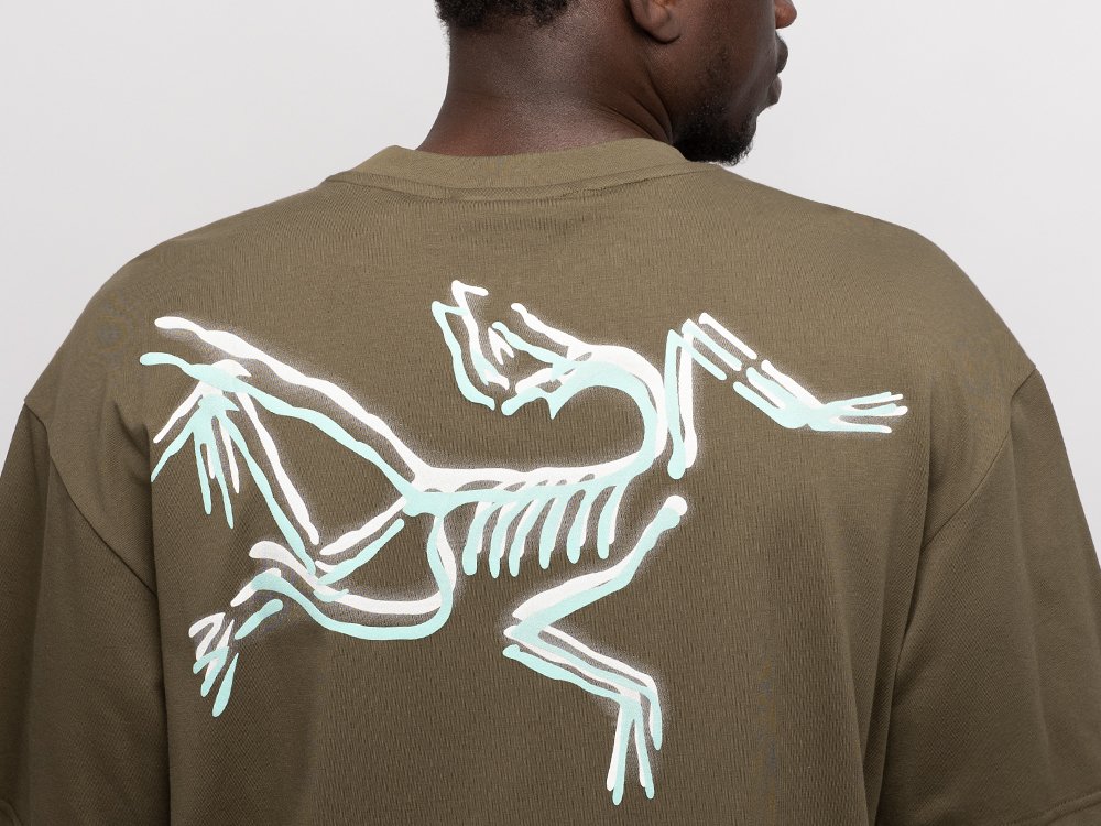 Футболка Arcteryx