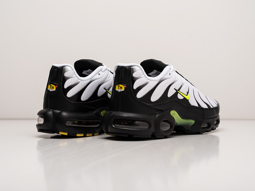 Кроссовки Nike Air Max Plus TN