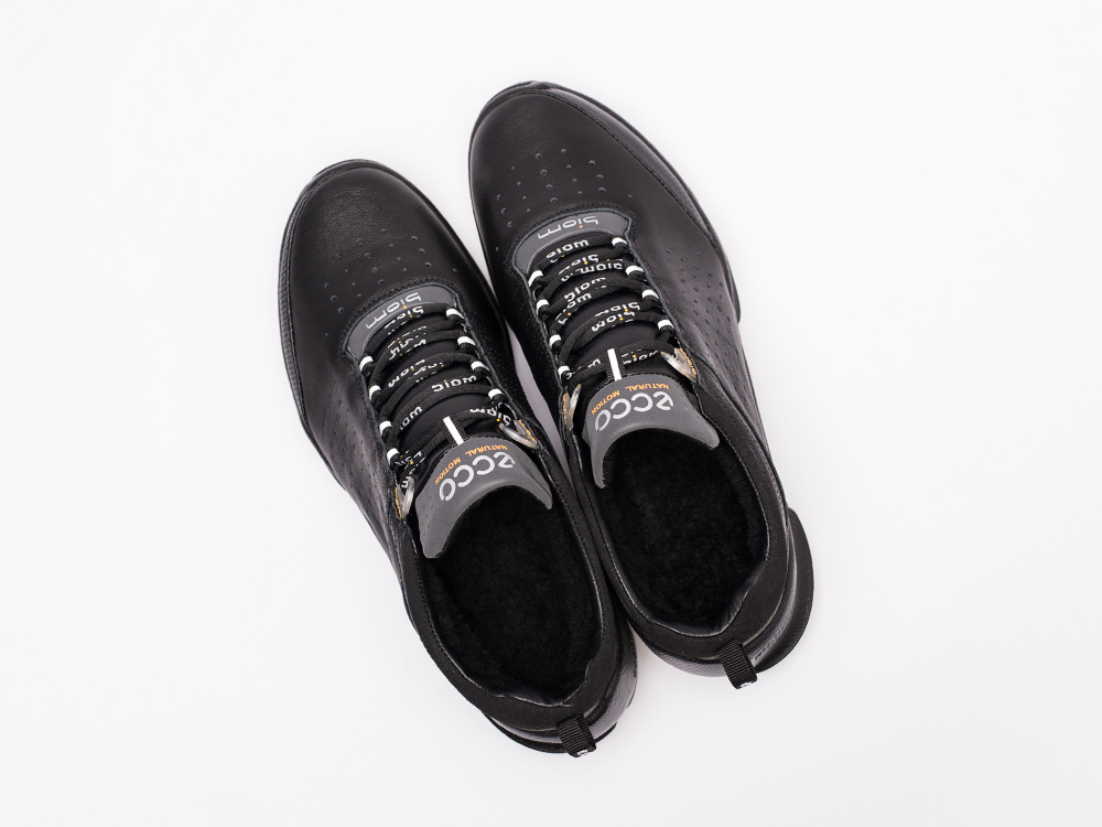 Зимние Кроссовки Ecco Biom