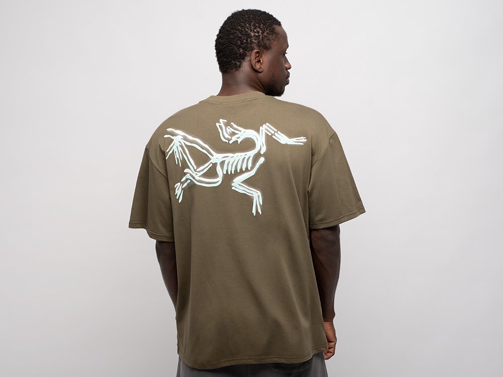 Футболка Arcteryx