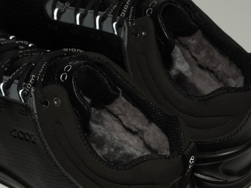 Зимние Ботинки Ecco