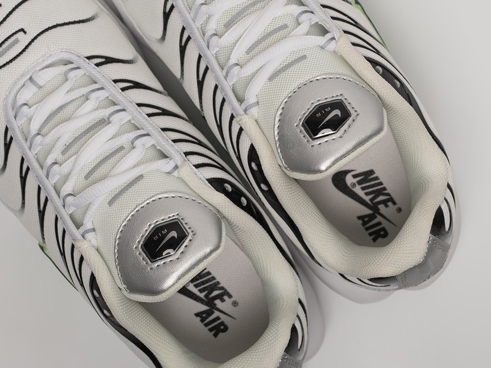 Кроссовки Nike Air Max Plus TN