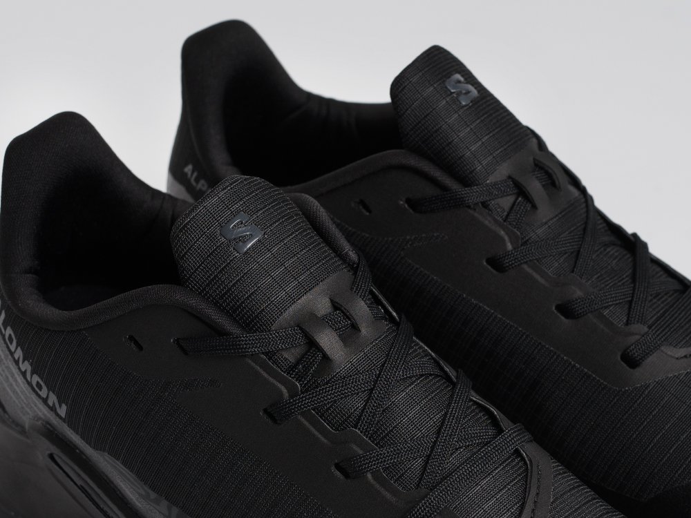 Кроссовки Salomon Alphacross 5 GTX